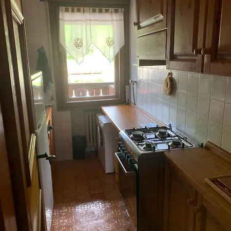 公寓 With Dolomites View